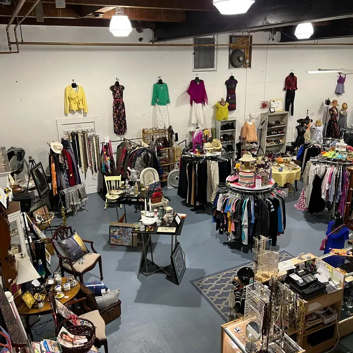 Inside the Thrifty Goose